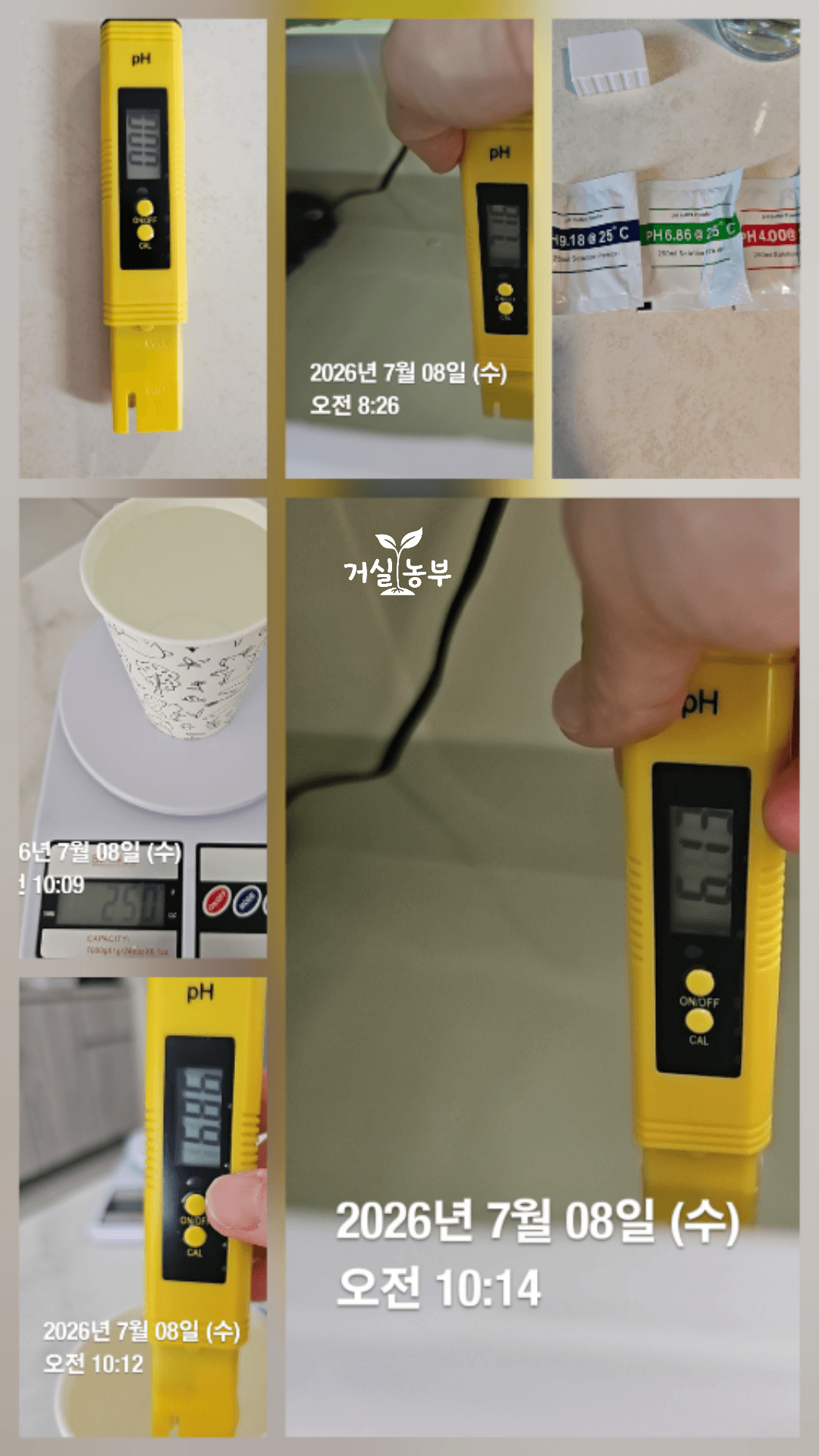 pH 측정기 버퍼 용액 준비와 CAL 버튼 교정 및 수경재배 영양액 측정 과정