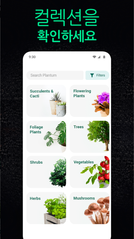 꽃 이름 찾기 어플, 앱에서 식물과 꽃 이름 무료 찾기