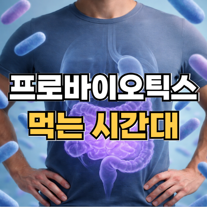 프로바이오틱스 먹는 시간대