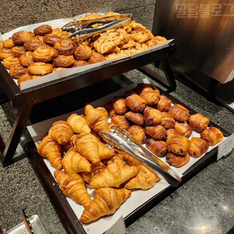 정선-파크로쉬-조식-빵