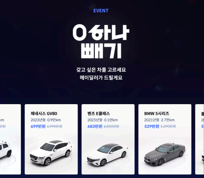 헤이딜러