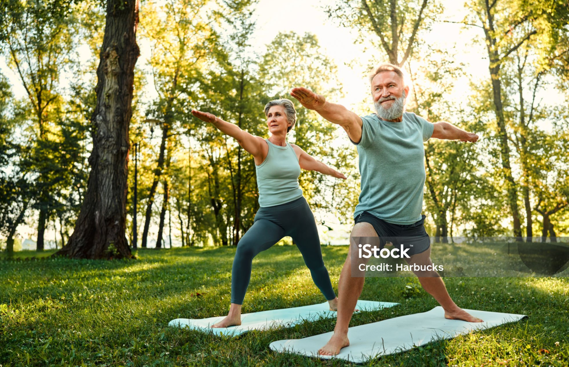 전사 자세 2 (Warrior II Pose)