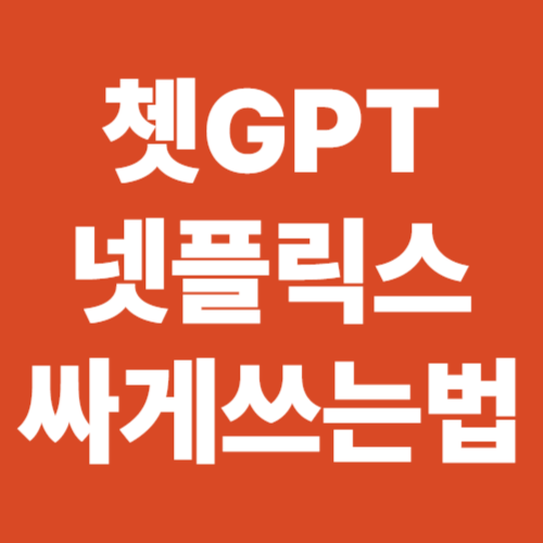 쳇Gpt , 네플릭스 요금할인