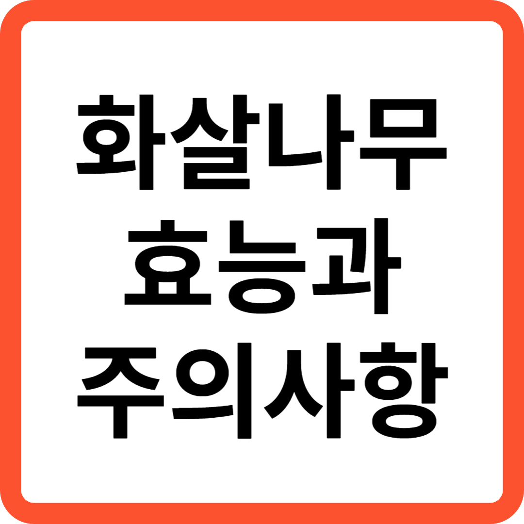 화살나무 효능과 주의사항