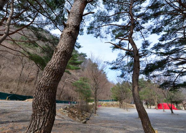 캠핑장_사이트