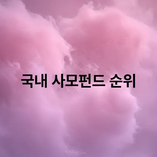 국내 사모펀드 순위