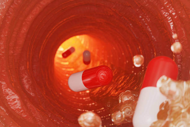 카베진 효능과 부작용, 양배추즙 MMSC 성분이 함유되어 있습니다. 그렇다면 카베진와 양배추즙 대표적인 MMSC 성분이 우리 인체에 어떤 작용을 하는 지와 카베진과 제산제 차이점을 알아봤습니다. 참고하시기 바랍니다.