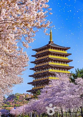 황룡원중도타워