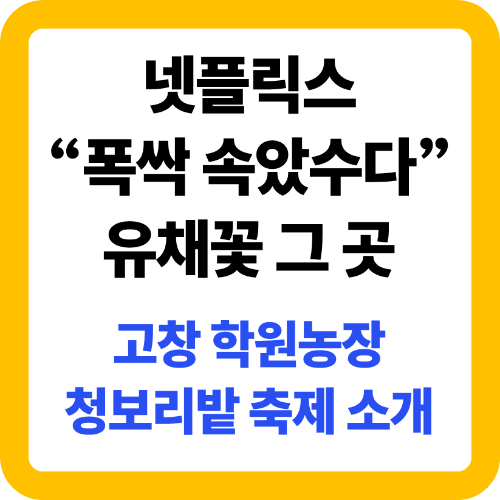 폭싹 속았수다. 유채꽃 촬영지, 고창 학원농장 청보리밭 축제