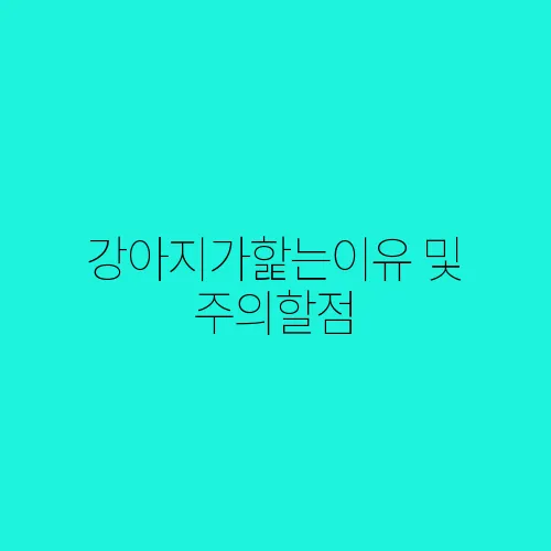 강아지가핥는이유 및 주의할점
