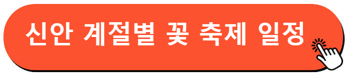신안 퍼플섬
