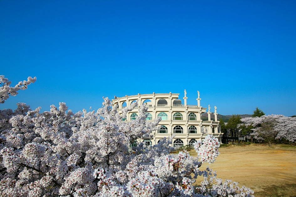 벚꽃 개화시기 2023