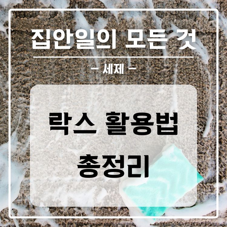 락스 활용법 총정리