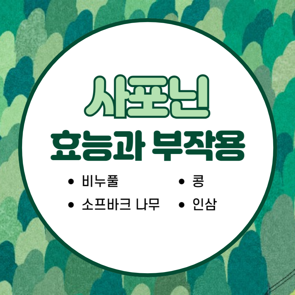 사포닌 효능과 부작용