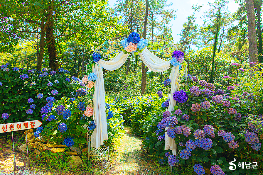 해남 포레스트 수목원 포토존