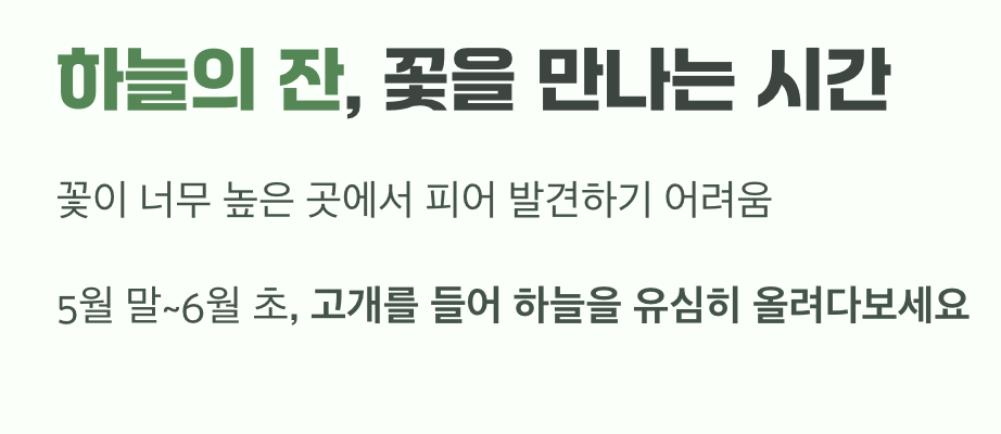 하늘의 잔&amp;#44; 꽃을 만나는 시간