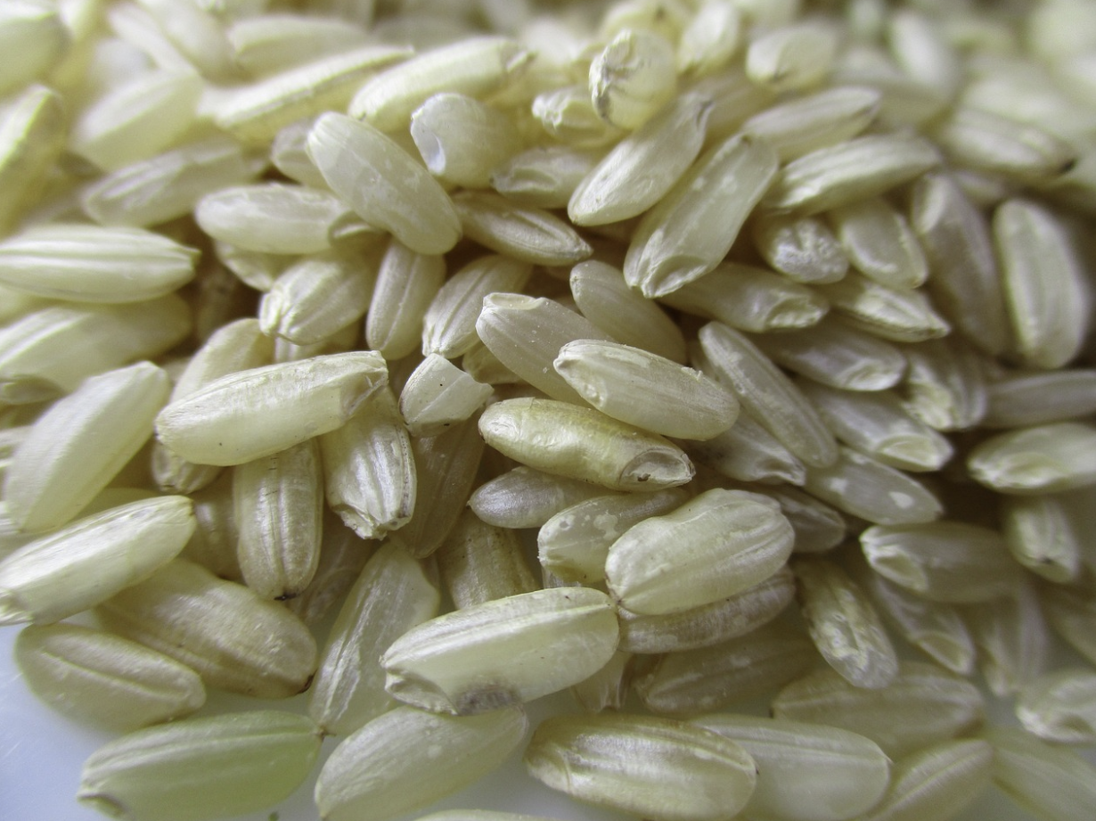 오분도미