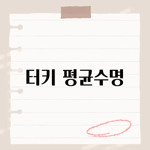 터키 평균수명, 곧 80세 돌파할까?