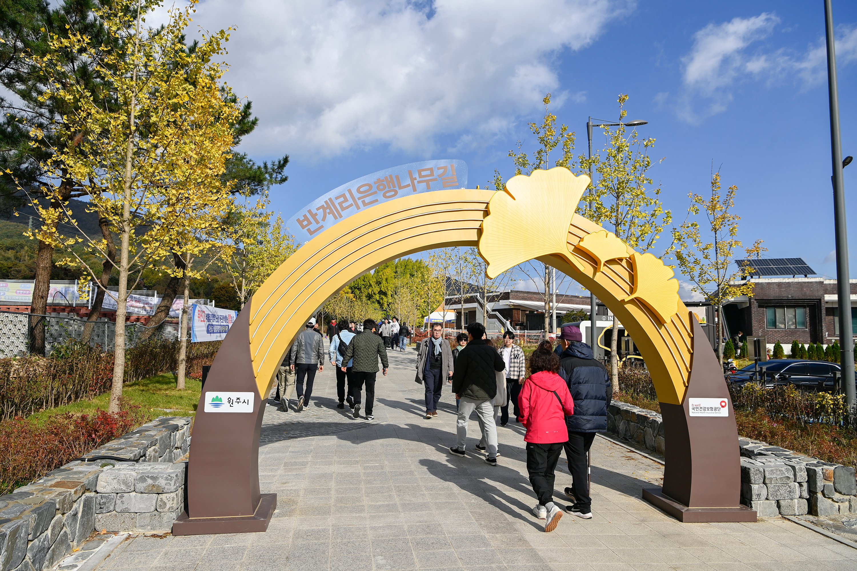 반계리 은행나무