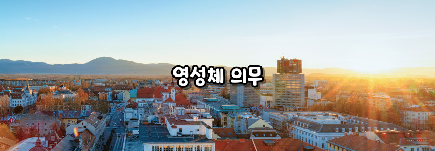 천주교 6대 의무