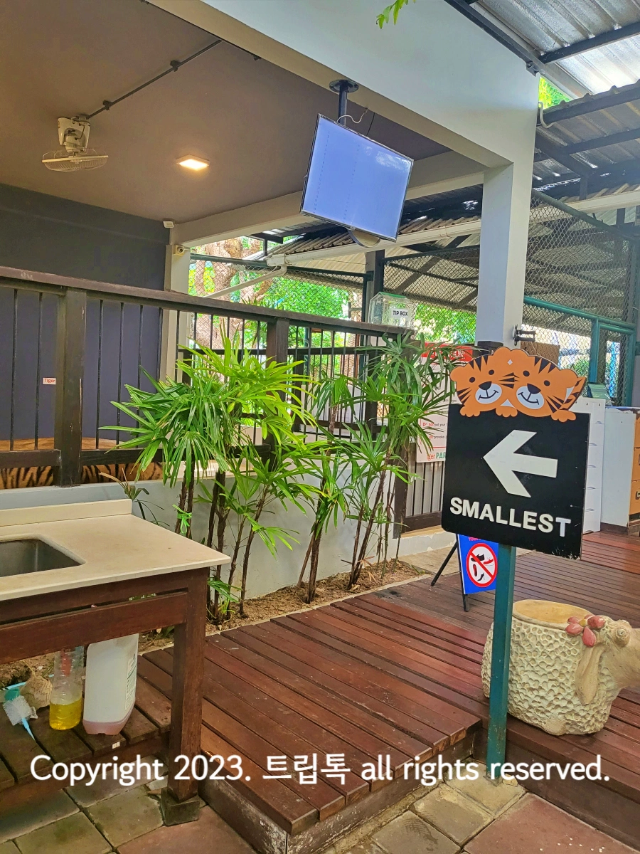 화살표와 함께 smallest라고 적힌 호랑이 그림이 있다.