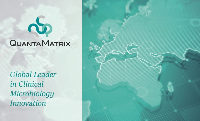 퀀타매트릭스 주가전망 거래정지 코로나관련주