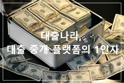 대출나라