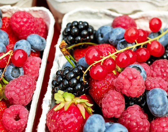 베리류
블루베리
스트로베리