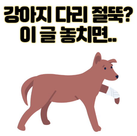 강아지 다리 절뚝거린다면? 이 글 놓치면 수술까지..