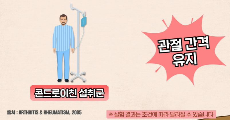 콘드로이친 효능