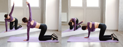 흉추가동성 동작