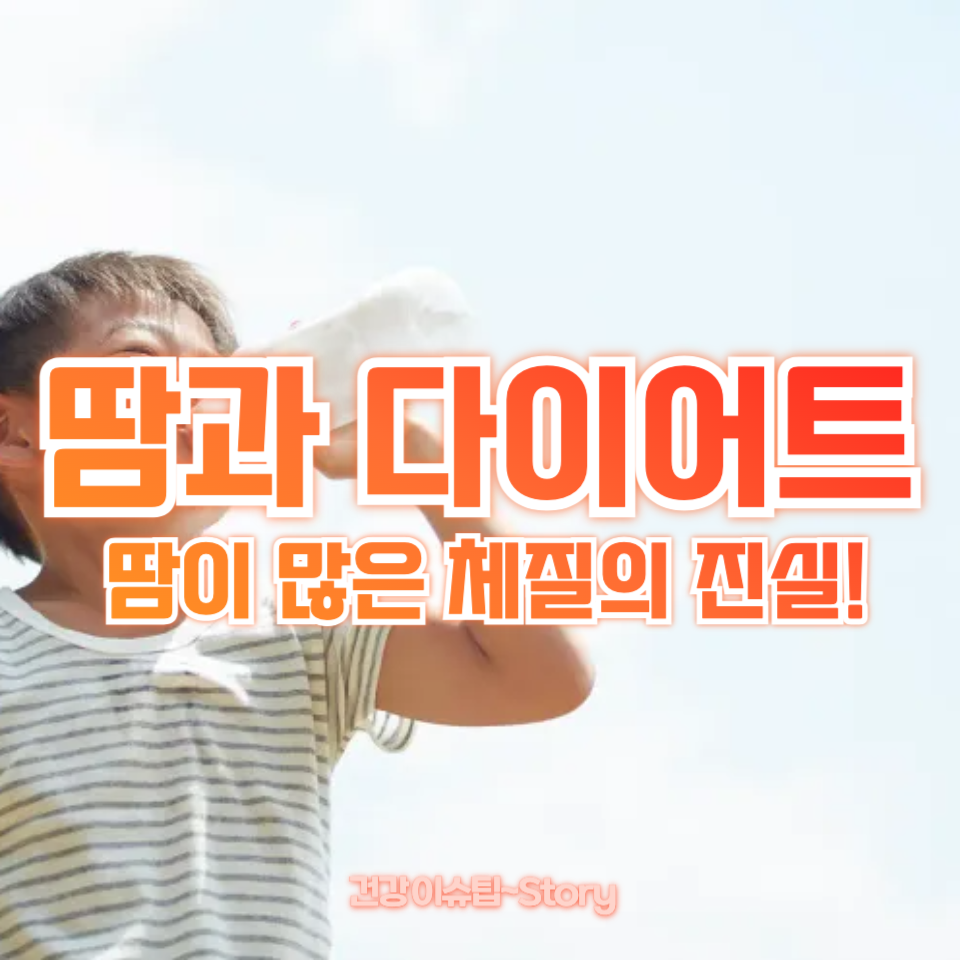 땀과 다이어트