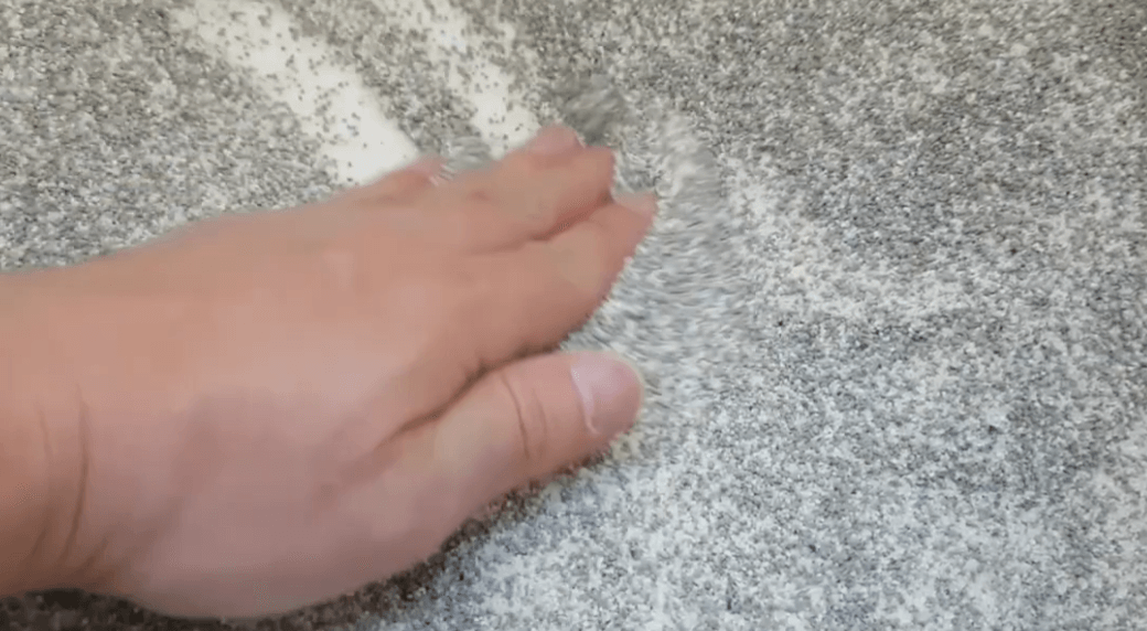 고양이 화장실 모래 추천 BEST 5