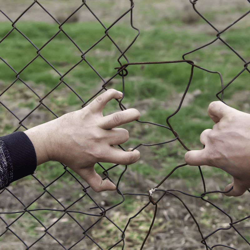 가짜 의사 사건