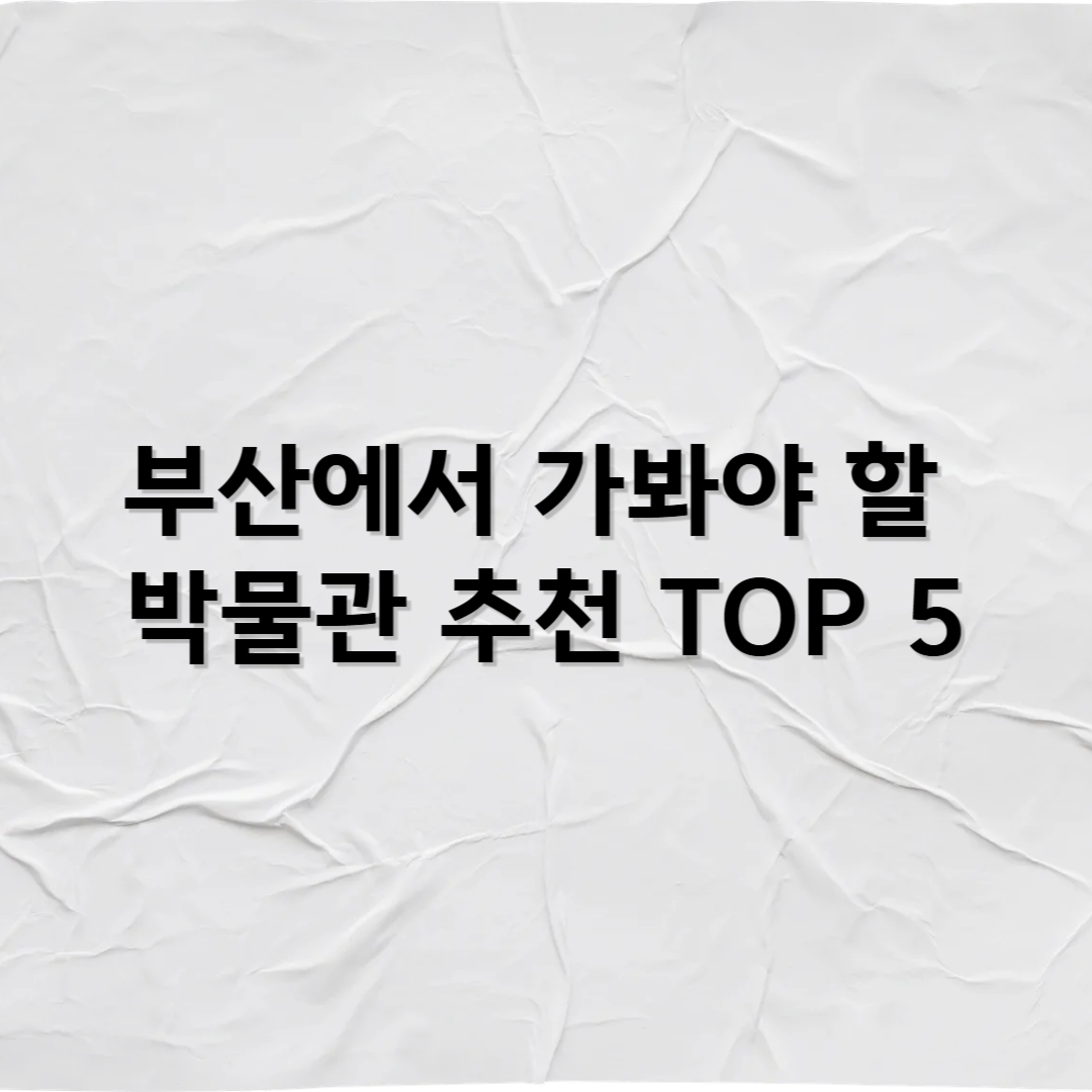 부산에서 꼭 가봐야 할 박물관 추천 TOP 5 – 바다와 문화가 만나는 도시