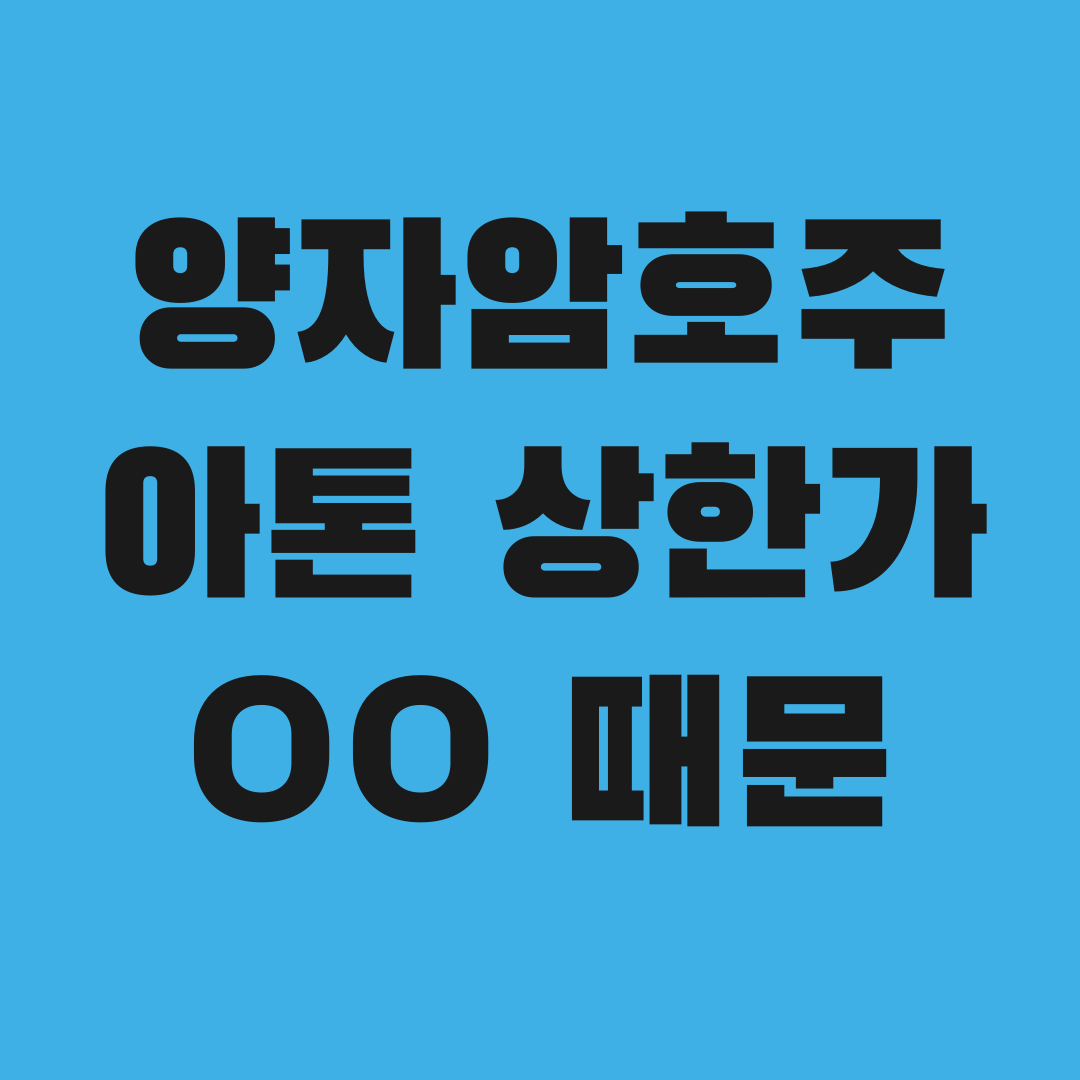 아톤 29.84% 급등&hellip;양자암호 테마인 줄 알았는데
