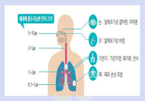 미세먼지-체내흡수-위험