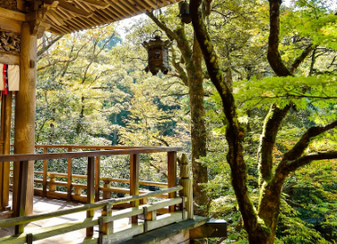 일본-입국-비지트-재팬