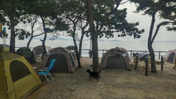 동막해수욕장 캠핑