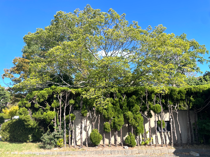 후쿠오카 미술관 진입구