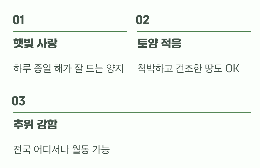 생명력 끝판왕을 위한 최고의 자리