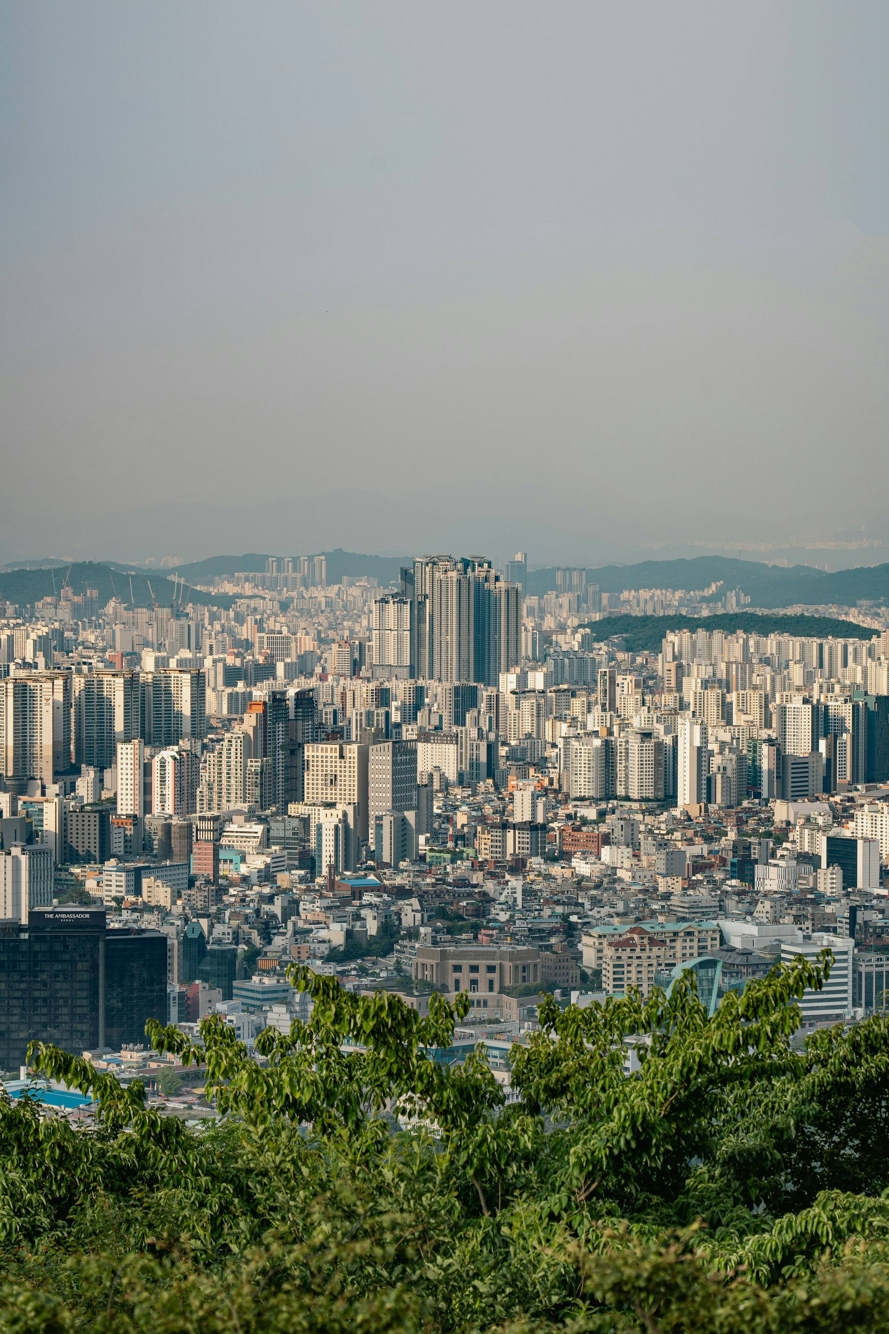재산 건물