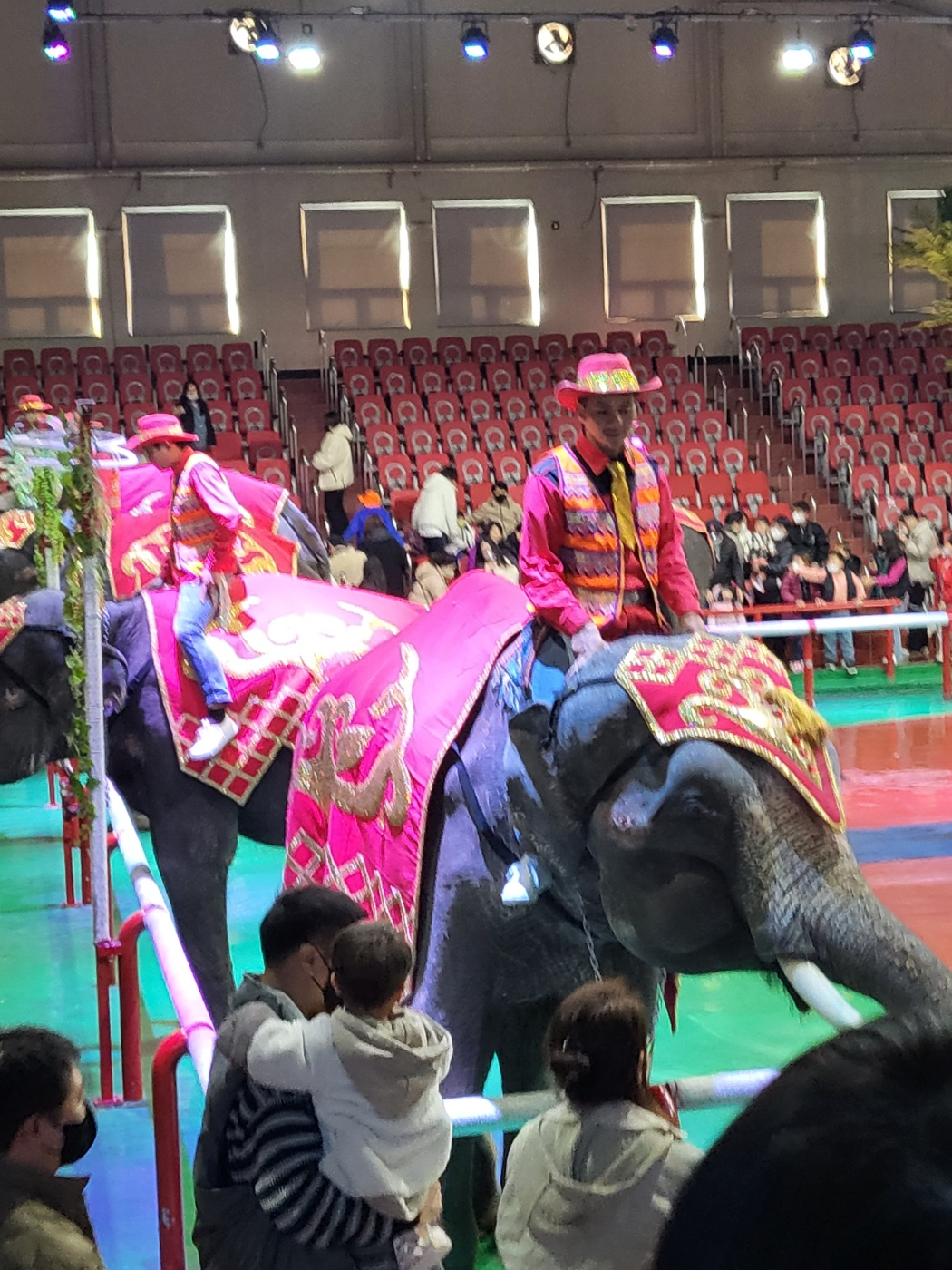제주도 아이와가볼만한곳&amp;#44; 점보빌리지