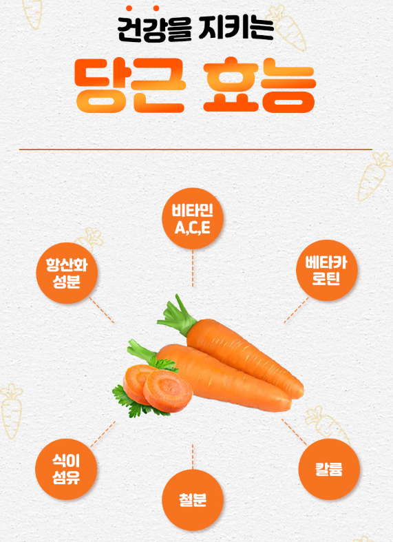 6시내고향 제주 구좌 당근 구매정보 도하네농장