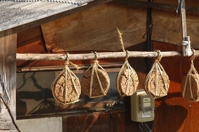 메주콩 효능과 조리법