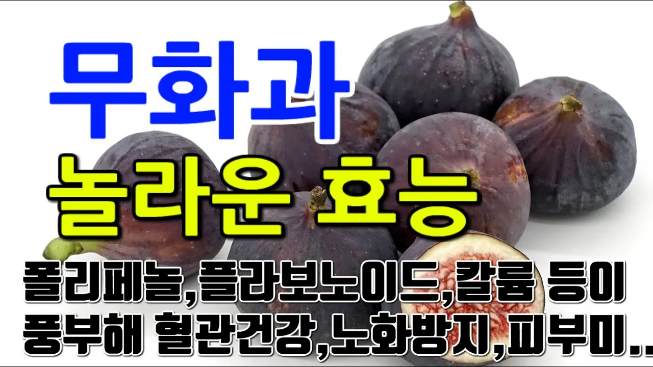 무화과 효능 칼로리 먹는 방법 수확시기 보관법_2