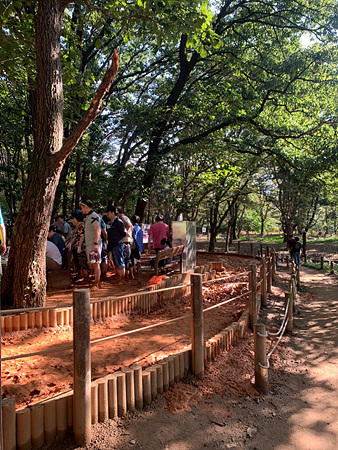 중앙공원_황톳길_나무들