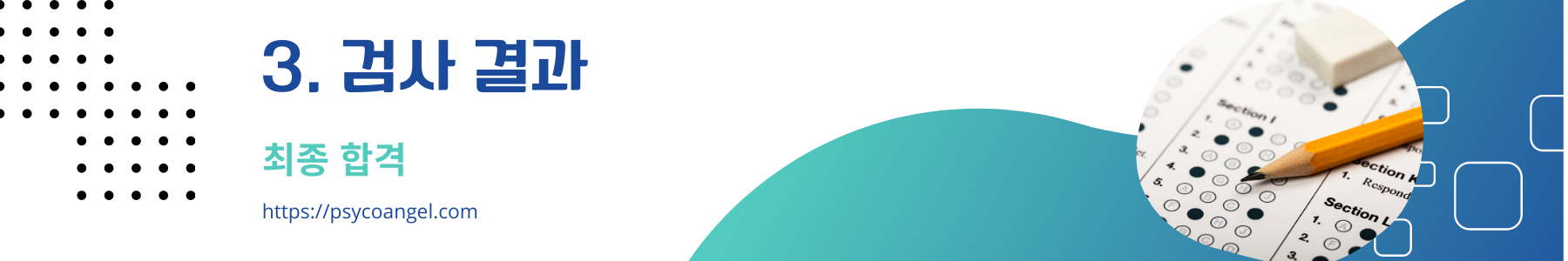 자동차 검사 결과