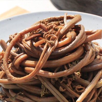 고사리 봄나물 효능과 맛있는 레시피로 봄을 느끼세요