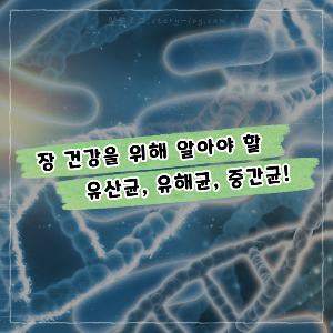 장 건강을 위해 알아야 할 유산균, 유해균 그리고 중간균!